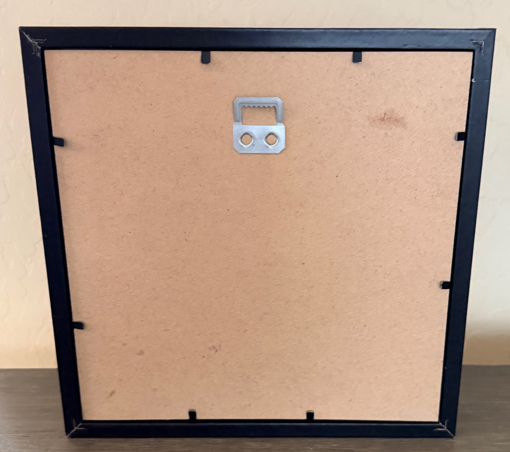 Wonderful Dancer Themed Shadow Box