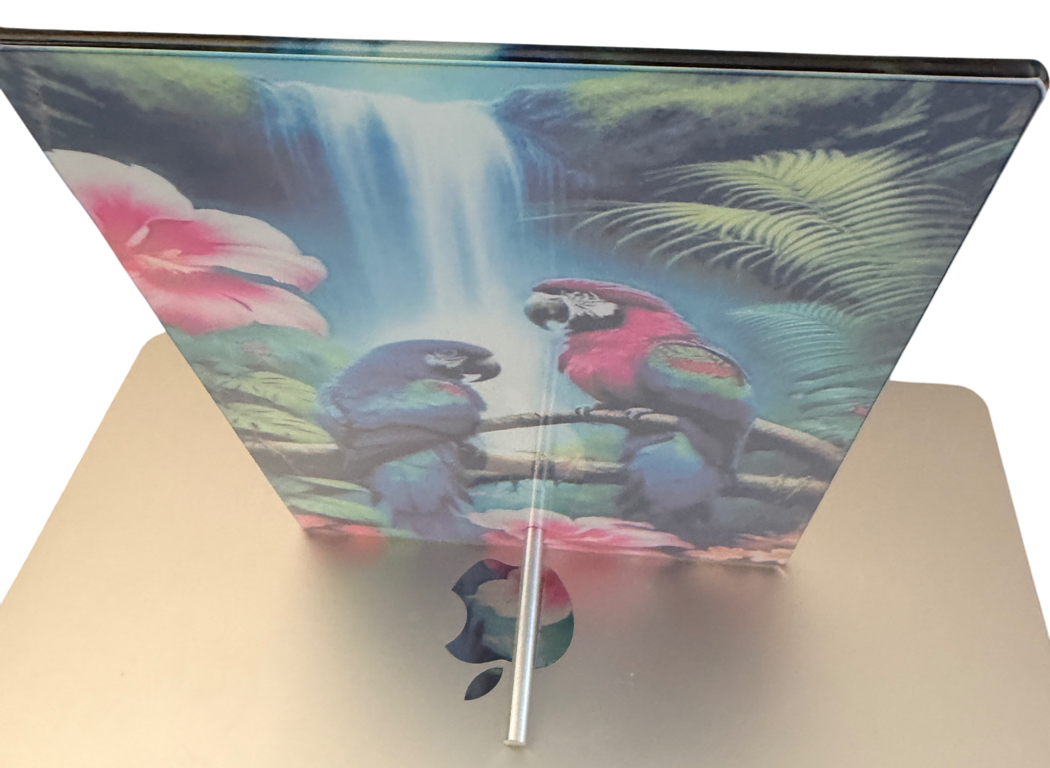 New Colorful Birds & Waterfall Printed on Glass with Stand.  6" x 8"