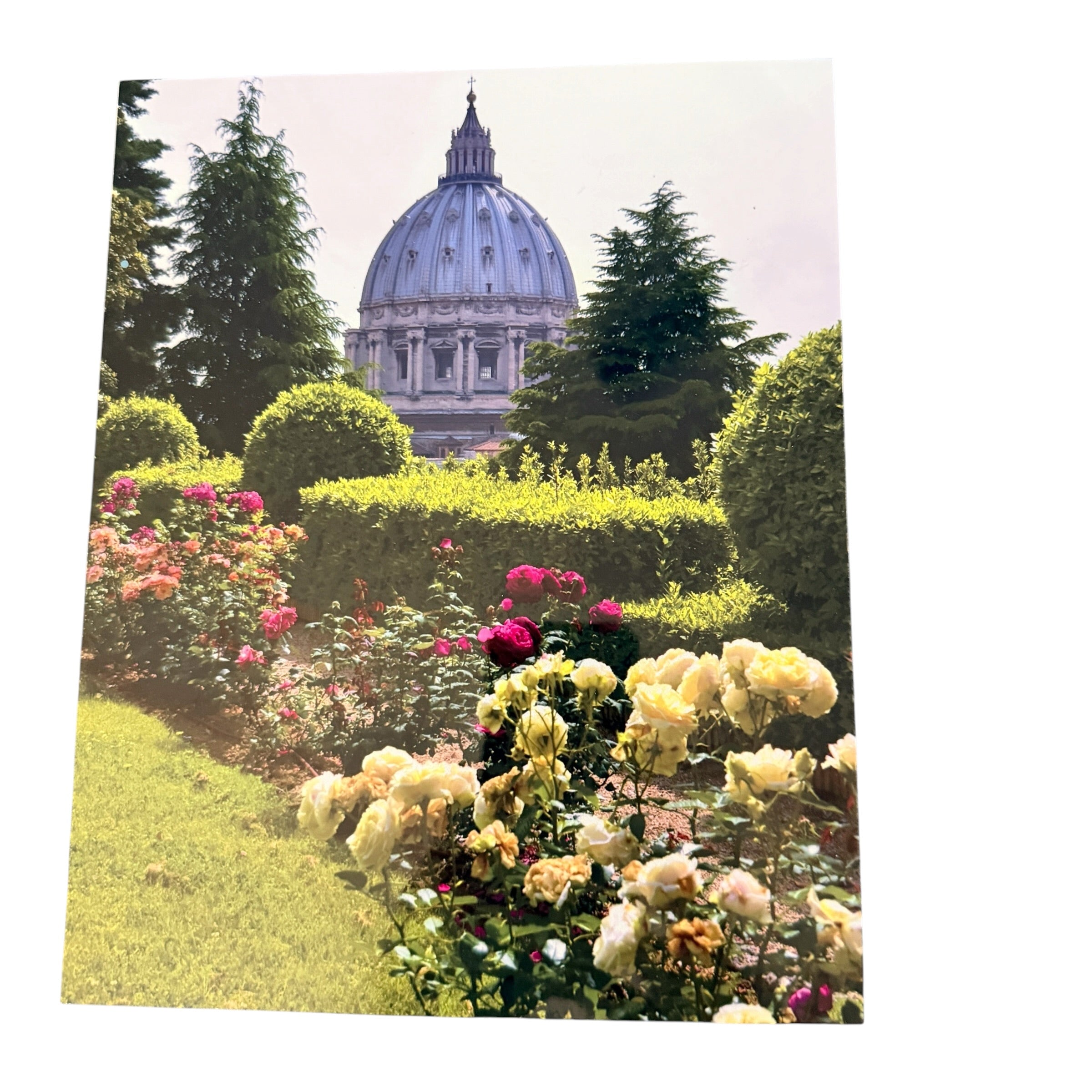 New Photo of St. Peter's Basilica from the Vatican Gardens printed on Aluminum.