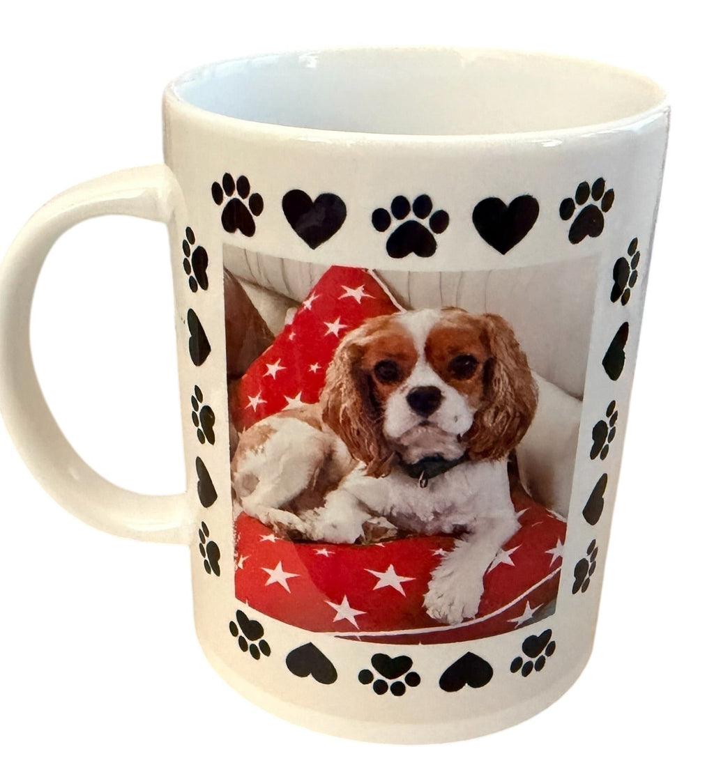 Customized Photo and Name 15oz Mug