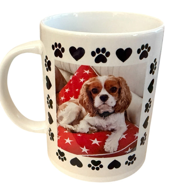 Customized Photo and Name 15oz Mug
